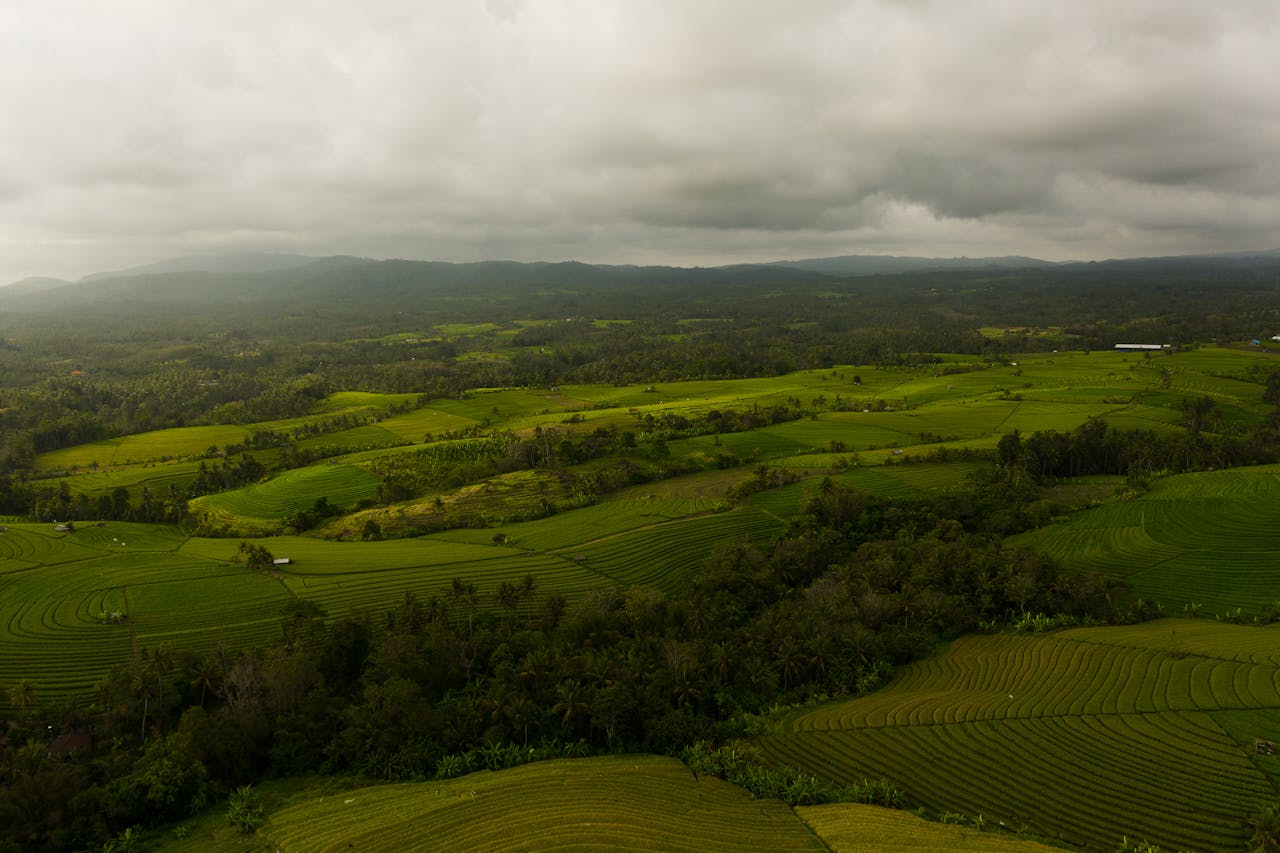 how to make money with land